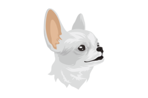 süßer weißer Chihuahua-Hund png