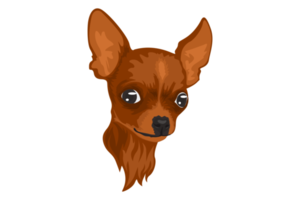 süßer brauner Chihuahua-Hund png