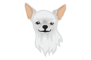 süßer weißer Chihuahua-Hund png