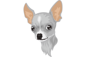 süßer weißer Chihuahua-Hund png