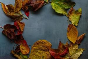 Leaves on grey rustic background photo
