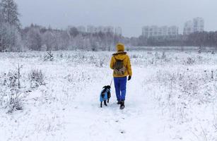 mujer joven en chaqueta amarilla caminando perro de raza mixta bedlington whippet en traje azul cálido en invierno día de nieve foto