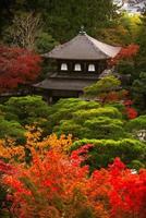ginkaku-ji, templo del pabellón de plata o llamado oficialmente jisho-ji, o templo de la misericordia brillante, un templo zen en el barrio sakyo de kyoto, kansai, japón foto
