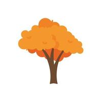 coloridos árboles de otoño. árbol de otoño naranja amarillo de dibujos animados e icono de arbusto de jardín otoñal con hojas de oro de temporada de otoño para parque de la ciudad y fondo de paisaje forestal vector símbolo aislado