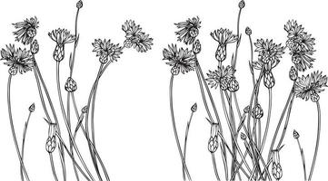 Burdock flowerssketch. Black and white vector drawing. For coloring and design books.