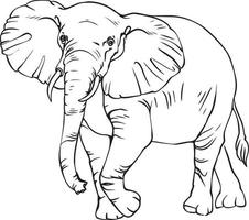 Elephant Sketch. Black and white vector drawing. For colouring books and for design.