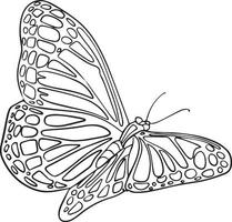 Butterfly. Black and white vector drawing. For coloring and design books.