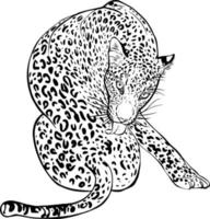 Cheetah sketch. Black and white vector drawing. For colouring books and for design.