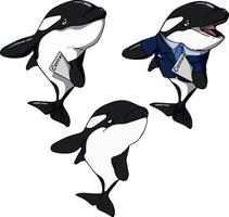 Dancing Orcas. Color vector drawing. For design and illustrations.