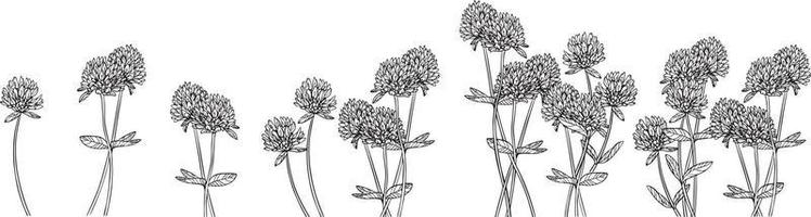 Clover flowers border. Black and white vector drawing. For coloring books and for design.