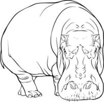 Hippo sketch. Black and white vector drawing. For coloring books and for design.