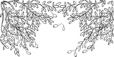 Dangling branches sketch. Black and white vector drawing. For coloring and design books.