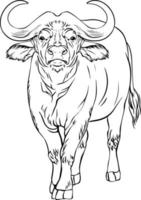 Buffalo sketch. Black and white vector drawing. For coloring and design books.