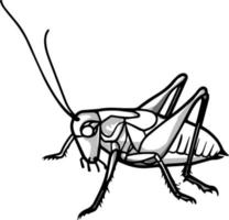 boceto de saltamontes. dibujo vectorial en tonos de gris. para colorear y diseñar libros. vector