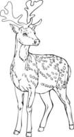 Deer sketch. Black and white vector drawing. For coloring and design books.