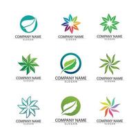 vector de plantilla de concepto de logotipo de semillas de plantas.logotipo de semillas en crecimiento.plantilla de diseño de ilustración de logotipo de vector de crecimiento de semillas