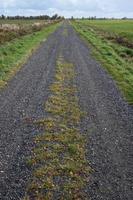 Rural road with tire tracks is located between two fields, against the sky, in the countryside. Agricultural landscape. photo