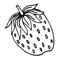 Strawberry hand drawn outline doodle icon. Vector sketch illustration of healthy berry - fresh raw strawberry for print, web, mobile and infographics isolated on white background.