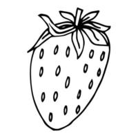 Strawberry hand drawn outline doodle icon. Vector sketch illustration of healthy berry - fresh raw strawberry for print, web, mobile and infographics isolated on white background.