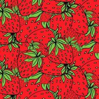 Strawberries hand drawn pattern background vector