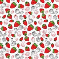 Strawberries hand drawn pattern background vector