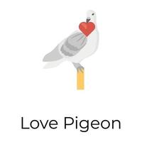 Trendy Love Pigeon vector