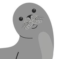 vector de dibujos animados de animales de foca de cabeza
