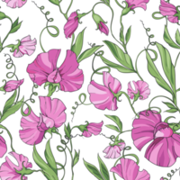 flores de color rosa guisante de olor, patrón floral sin fisuras. patrón para tela, papel para envolver, páginas web, invitaciones, tarjetas