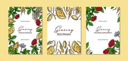 Set of ginseng colorful vertical designs. Hand drawn botanical vector illustration in sketch style. Can be used for packaging, label, badge. Herbal medicine background