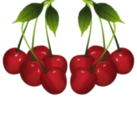 Creative berry for thanksgiving png