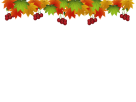 Thanksgiving day autumn leafs png