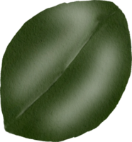 Aquarell grünes Blatt png