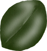 feuille verte aquarelle png