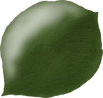 acquerello verde foglia png