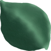 watercolour green leaf png