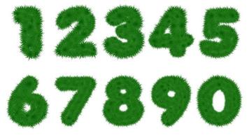 Grass Decorated Number Design. vector