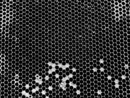 Abstract hexagon structure is honeycomb from bee hive photo