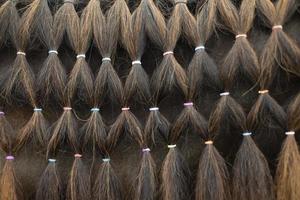 pelo de caballo cerca. coletas en bandas elásticas. textura de pelo de caballo. foto