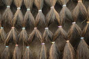 Horse hair. Hair pattern. Horse mane. Small elastic bands for hairstyle. photo