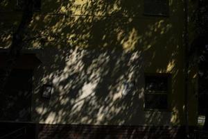 Light and shadow on wall. Shadow drawing on building. Silhouette of plant. photo