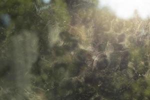 Dirty glass. Dust on window. Dirt details. Turbid surface. photo