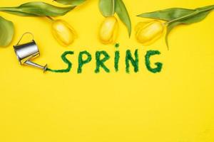 The inscription Spring from decorative green grass on a yellow background with a watering can and flowers tulips photo