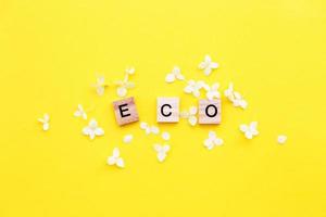 Eco word written from a wooden cubes with letters on yellow background with a petals of a hydrangea flowers photo