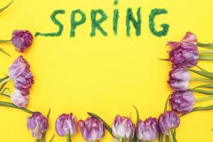 The inscription Spring from decorative green grass on a yellow background with a watering can and flowers tulips photo
