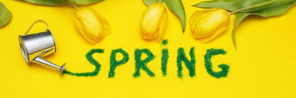 The inscription Spring from decorative green grass on a yellow background with a watering can and flowers tulips. banner photo