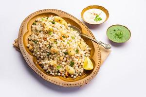 Sabudana Khichadi - An authentic dish from Maharashtra made with sago seeds, served with curd photo