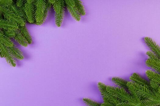 Top view of green fir tree branches on colorful background. New year holiday concept with empty space for your design photo