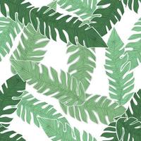 Graphic tropical pattern, palm leaves seamless floral background. vector