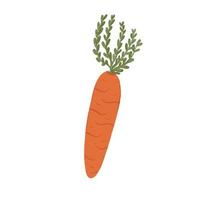 dibujado a mano vegetal naranja zanahoria vector