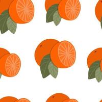 Seamless pattern Orange fruit hand drawn vector